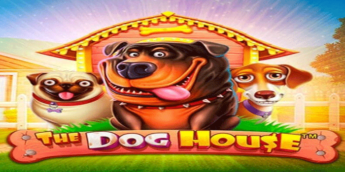 Panduan Lengkap Fitur Berzerk Mode di Slot The Dog House
